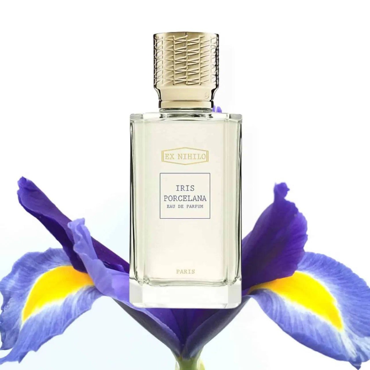 Ex Nihilo Iris Porcelana